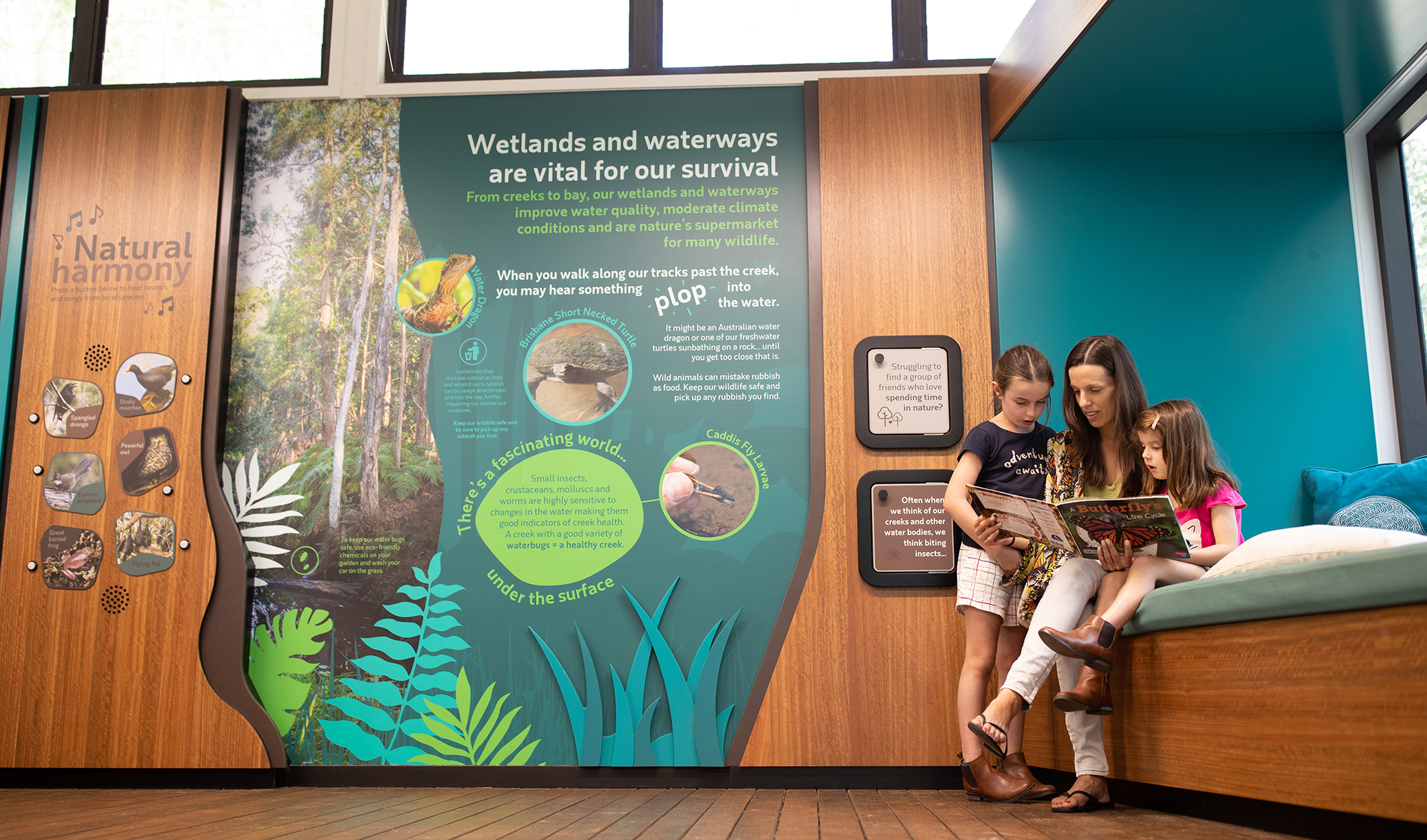 Discovery centre - wall display